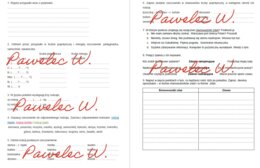 Przypadki, rodzaje rzeczowników, równoważniki zdań, kl. 6 - karta pracy, kartkówka, sprawdzian