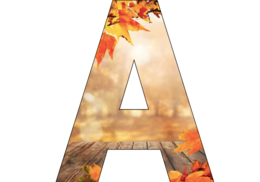 Gazetka szkolna „LISTOPAD” – najważniejsze święta miesiąca|25 stron do druku|Grafiki w różnych rozmiarach|Wiele możliwości aranżacji