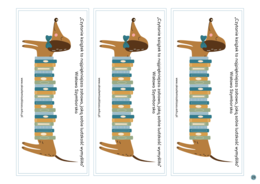 WYZWANIE CZYTELNICZE Z JAMNIKIEM KLASYKIEM na rok szkolny 2025/2026