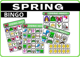 SPRING - BINGO