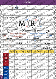 Karty pracy - Klasa 8. Chemia – Zestaw 6 kart pracy do działu 9 "Sole"