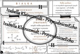 Sketchnotka - notatka „Białka” wykonana w power point do edycji. Chemia 8, „Biologia i chemia”