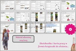 Zestaw sketchnotek i kart pracy + gratisowe linki do prezentacji multimedialnych niekomercyjnych wykonanych w genial.ly do indywidualnego pobrania i użycia do celów niekomercyjnych. Biologia 6, „Kręgowce zmiennocieplne”