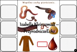 Notatka okienkowa/stacja zadaniowe/notatka interaktywna/notatka graficzna/karta pracy/sketchnotka „Pierścienice”, „Pierścienice-zwierzęta, które mają segmentowane ciało” w pdf. Biologia 5 , dział „Od parzydełkowców do pierścienic”. Materiał wykonany na p