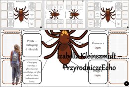 Notatka okienkowa/stacja zadaniowe/notatka interaktywna/notatka graficzna/karta pracy/sketchnotka „Budowa pająka” w pdf. „Pajęczaki – stawonogi, które mają cztery pary odnóży” - Biologia 6. Dział „Stawonogi i mięczaki”. Materiał wykonany na podstawie pod