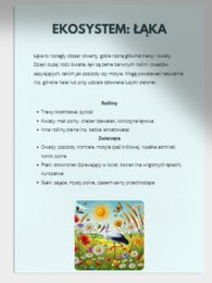 Porównanie różnych ekosystemów (las, łąka, staw)