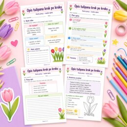 Opis tulipana krok po kroku