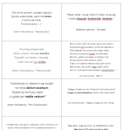 Środki stylistyczne (nazwa + przykład) karty dwustronne