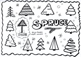 Nie tylko CHRISTMAS TREE :)