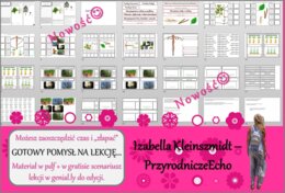 Pomysł na lekcję/karta pracy/stacje zadaniowe/materiał do lekcji do tematu „Korzeń – organ podziemny rośliny” w pdf. W gratisie niekomercyjny scenariusz lekcji/pomysł na lekcję w programie genial.ly do edycji. Biologia 5. Dział „Tkanki i organy roślinne”