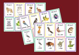 KARTY ORTOGRAFICZNE – zwierzęta - ptaki – ORTOGRAFIA – 56 szt.