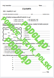 Liczebnik / części mowy / sprawdzian / kartkówka / karta pracy / KLUCZ ODPOWIEDZI