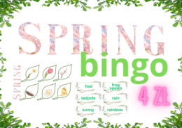 SPRING BINGO