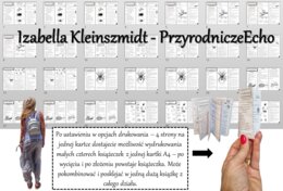 Zestaw broszurek/notatek/sketchnotek/wklejek/ściąg dla ucznia/przypomnień dla nauczyciela do całego działu w pdf. Biologia 6. Dział „Stawonogi i mięczaki”
