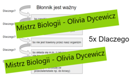 5x dlaczego - myślenie krytyczne - Błonnik