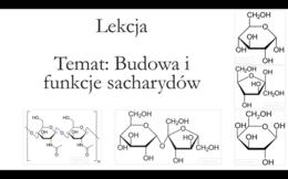 Liceum (zakres rozszerzony) - Budowa i funkcje sacharydów - prezentacja