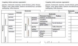 Pasożyty zewnętrzne i wewnętrzne - zadanie z biologii dla klasy 8