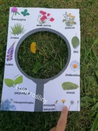 Wiosenne lupy i karty spaceru