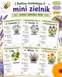 Rośliny miododajne - mini zielnik