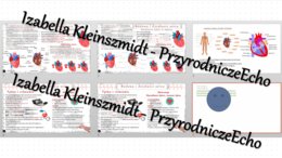 Minizestaw na temat „Budowa i funkcje serca” – sketchnotka + karta pracy w power point + gratisowy link do prezentacji multimedialnej niekomercyjnej wykonanej w genial.ly do indywidualnego pobrania i użycia do celów niekomercyjnych. Biologia 7, „Układ kr