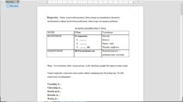 Rozprawka - karta pracy