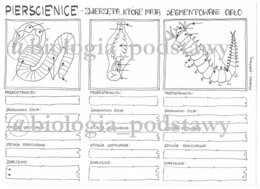Klasa 6 - Pierścienice - karta pracy
