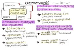 Cudzożywność (sketchnotka)