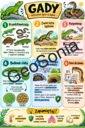 Przegląd i znaczenie gadów  biologia klasa 6 sketchnotka