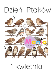 Dzień Ptaków