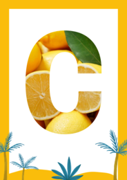 E-book „Nauka liter i czytania przez zabawę” 250 stron kart pracy