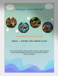 Karty pracy. Labirynty. Karty z pytaniami