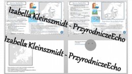 Minizestaw na temat „Morze Bałtyckie” – sketchnotka + karta pracy w power point + gratisowy link do prezentacji multimedialnej niekomercyjnej wykonanej w genial.ly do indywidualnego pobrania i użycia do celów niekomercyjnych. Geografia 7, „Środowisko prz