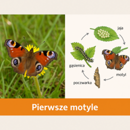 „Marzec w kulturze i przyrodzie” – przewodnik edukacyjny