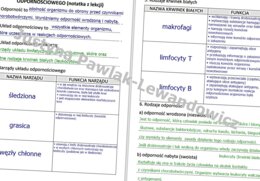 Budowa i funkcjonowanie układu odpornościowego (gotowa notatka)