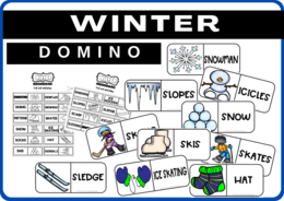 WINTER - DOMINO