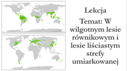 Klasa 5 - W wilgotnym lesie równikowym i lesie liściastym strefy umiarkowanej - prezentacja