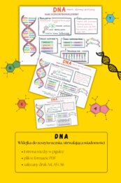 DNA – sketchnotka - wklejka | Biologia | klasa 8