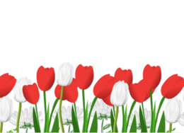 🇵🇱 Gazetka na 3 Maja – napis Wiwat Maj Trzeci Maj, flaga, dekoracyjne elementy- 27 stron patriotycznej dekoracji