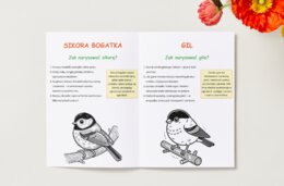 Kolorowanki z roślinami i zwierzętami. Gatunki ptaków, ssaków i drzew