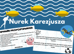 Nurek Kartezjusza