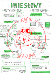 Imiesłowy Przysłówkowe i Przymiotnikowe - rysnotka