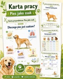 Pies jako ssak