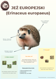Kolorowe plansze edukacyjne. Gatunki zwierząt, roślin, grzybów, owadów.
