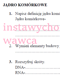 Jądro komórkowe - karta pracy