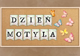 Dzień Motyla - zestaw
