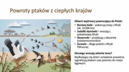 Wiosna - prezentacja, gazetka szkolna, materiały