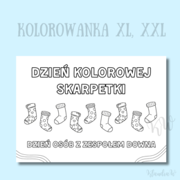 Dzień Kolorowej Skarpetki - zestaw