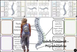 Notatka okienkowa/stacja zadaniowe/notatka interaktywna/notatka graficzna/karta pracy/sketchnotka „Budowa kręgosłupa”, „Kręgosłup” w pdf. „Budowa szkieletu osiowego”. Biologia 7, dział „Aparat ruchu”. Materiał wykonany na podstawie podręcznika z wydawnic