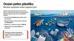 Ekologia - gazetka, prezentacja, plansze