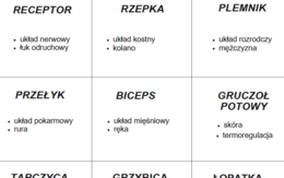 Gra ala TABU podsumowanie klasy 7
